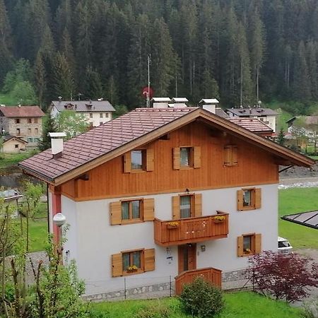 B&B Il Tulipano 산 피에트로 디 카도레 외부 사진