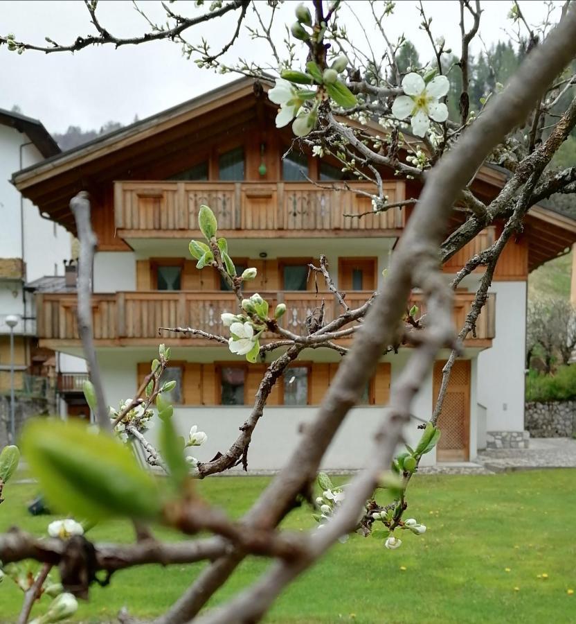 B&B Il Tulipano 산 피에트로 디 카도레 외부 사진