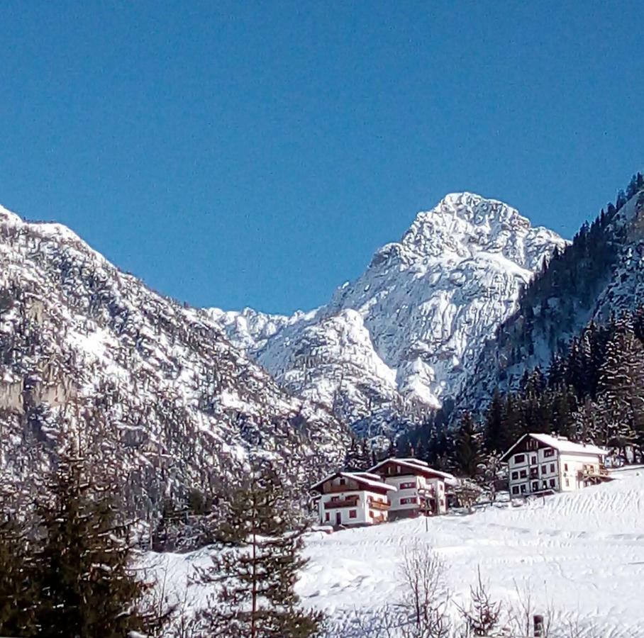 B&B Il Tulipano 산 피에트로 디 카도레 외부 사진