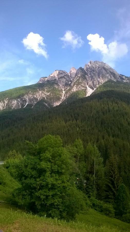 B&B Il Tulipano 산 피에트로 디 카도레 외부 사진