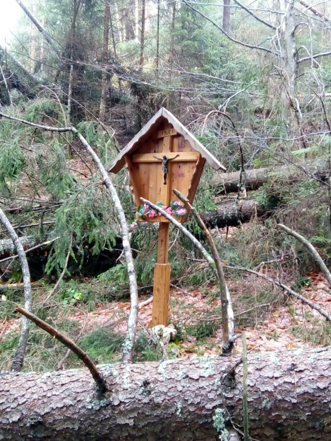 B&B Il Tulipano 산 피에트로 디 카도레 외부 사진